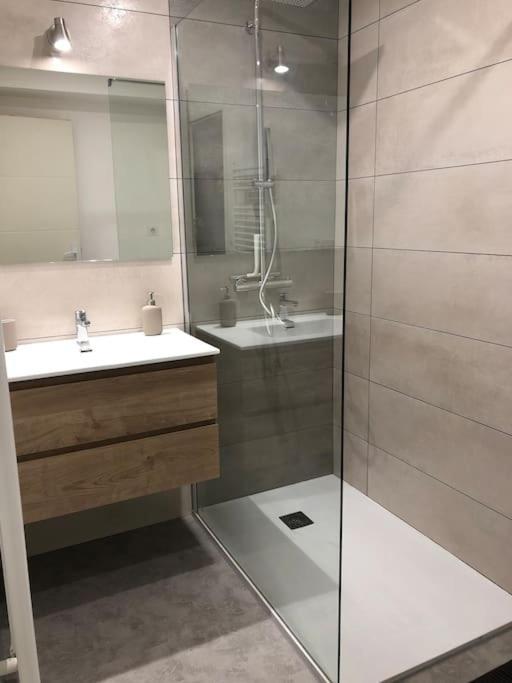 Appartement Moderne & Lumineux 40M2 Centre Luxeuil Dış mekan fotoğraf